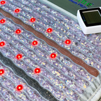 Platinum Series | PEMF Far Infrared Heating Mats